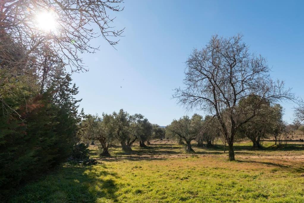 Finca El Palomar De La Vina マドリード エクステリア 写真