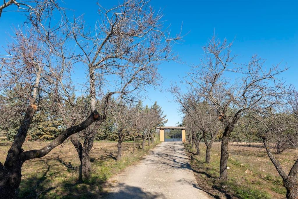 Finca El Palomar De La Vina マドリード エクステリア 写真