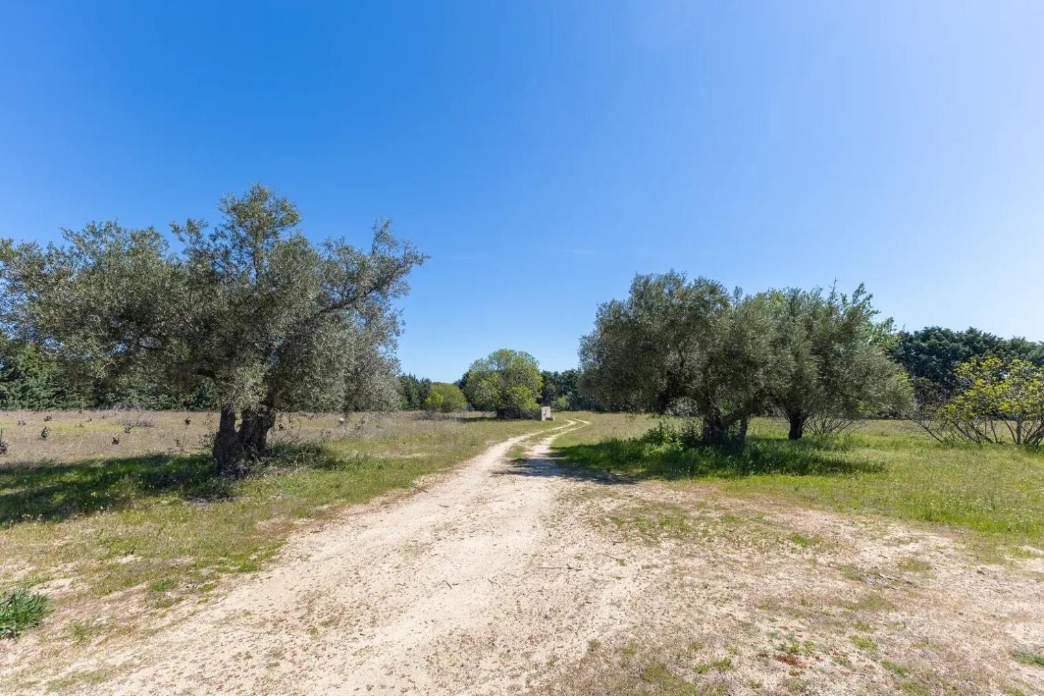 Finca El Palomar De La Vina マドリード エクステリア 写真